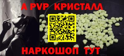 шишки Дубна