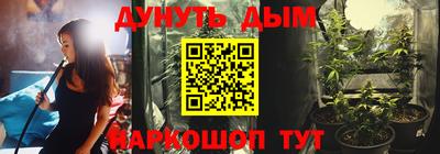 шишки Дубна