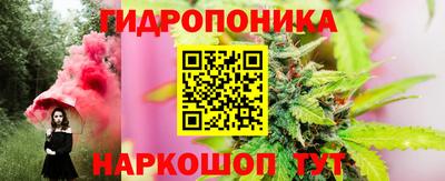 шишки Дубна