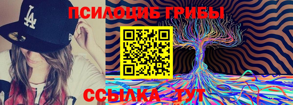 Кингисепп  Галлюциногенные грибы мухоморы  Псилоцибиновые грибы Magic Shrooms  Вход с VPN 