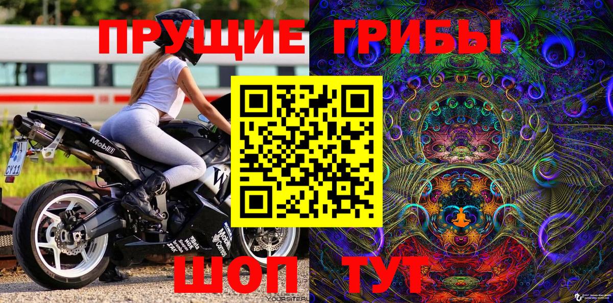 Псилоцибиновые грибы ЛСД Кингисепп