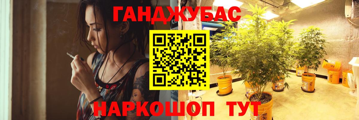 Марихуана индика  Конопля планчик  Вход с VPN  Кингисепп 